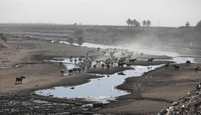 نائب يحذر من أزمة مائية تهدد الأمن الغذائي في جنوب العراق.. ما علاقة دول المنبع؟