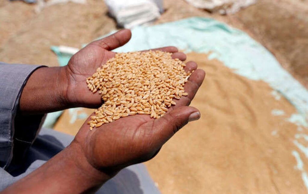 العراق يعتزم إرسال 320 ألف طن من القمح إلى لبنان