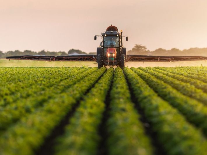 الزراعة تكشف عن خطة لزيادة زراعة المحاصيل